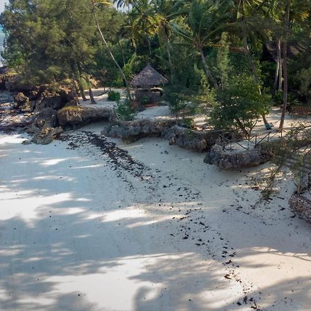 Coco Reef Ecolodge Kizimkazi Esterno foto