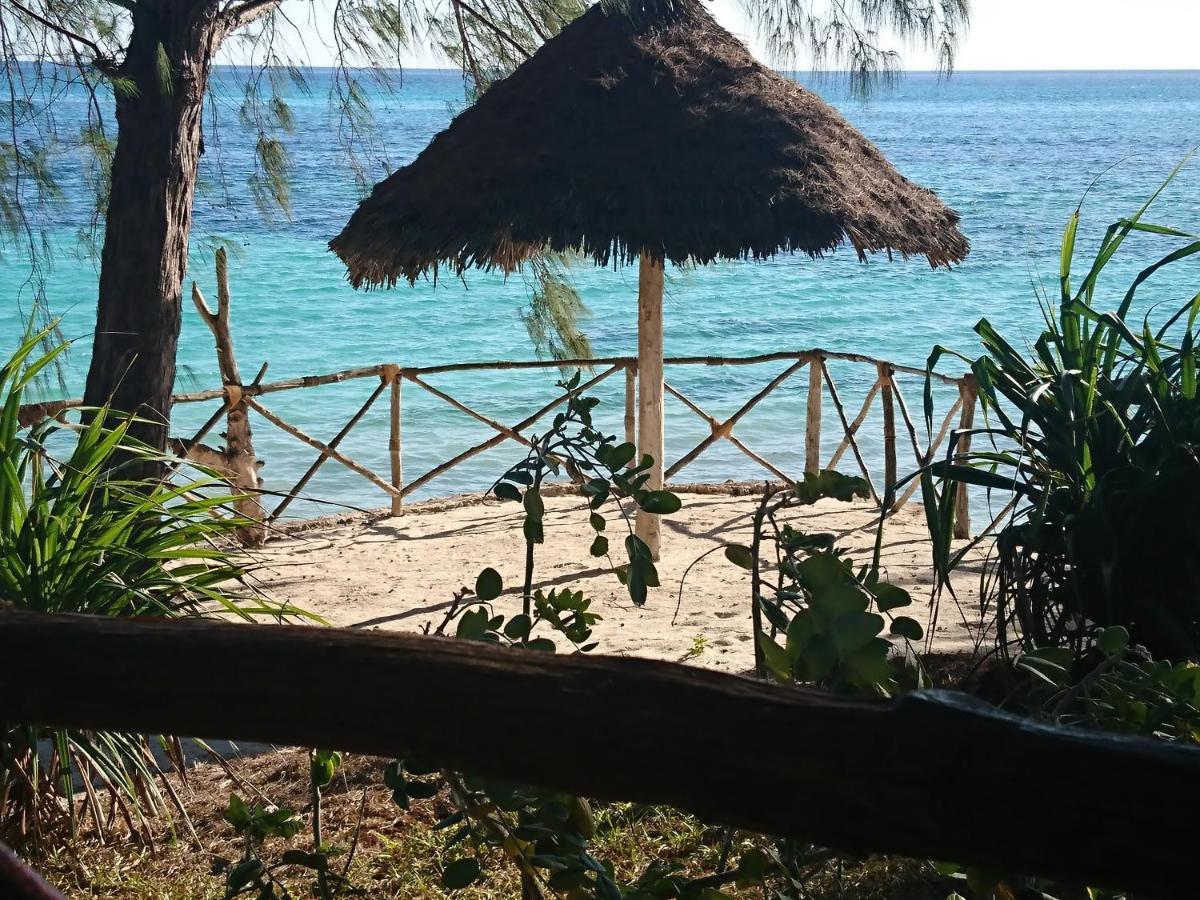 Coco Reef Ecolodge Kizimkazi Esterno foto