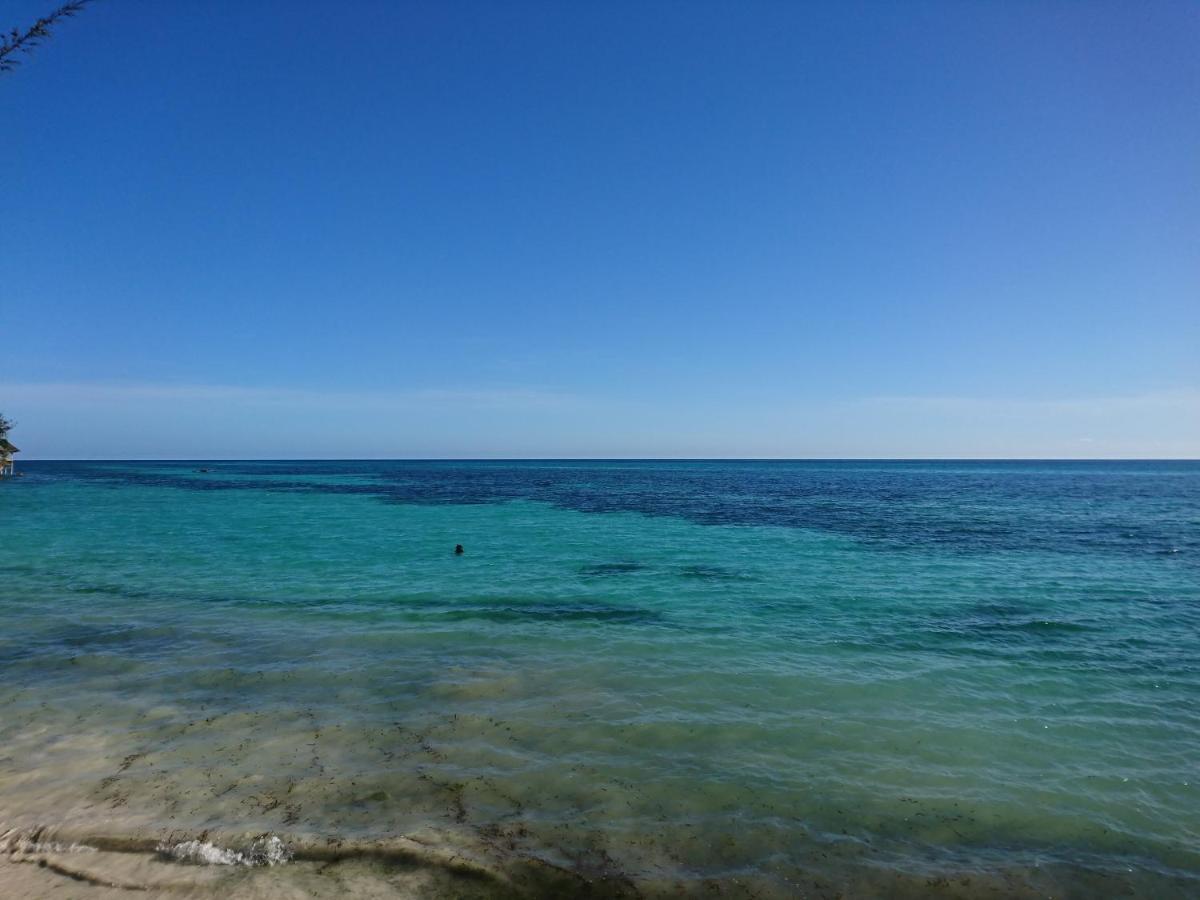 Coco Reef Ecolodge Kizimkazi Esterno foto