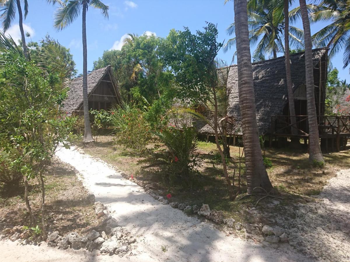 Coco Reef Ecolodge Kizimkazi Esterno foto