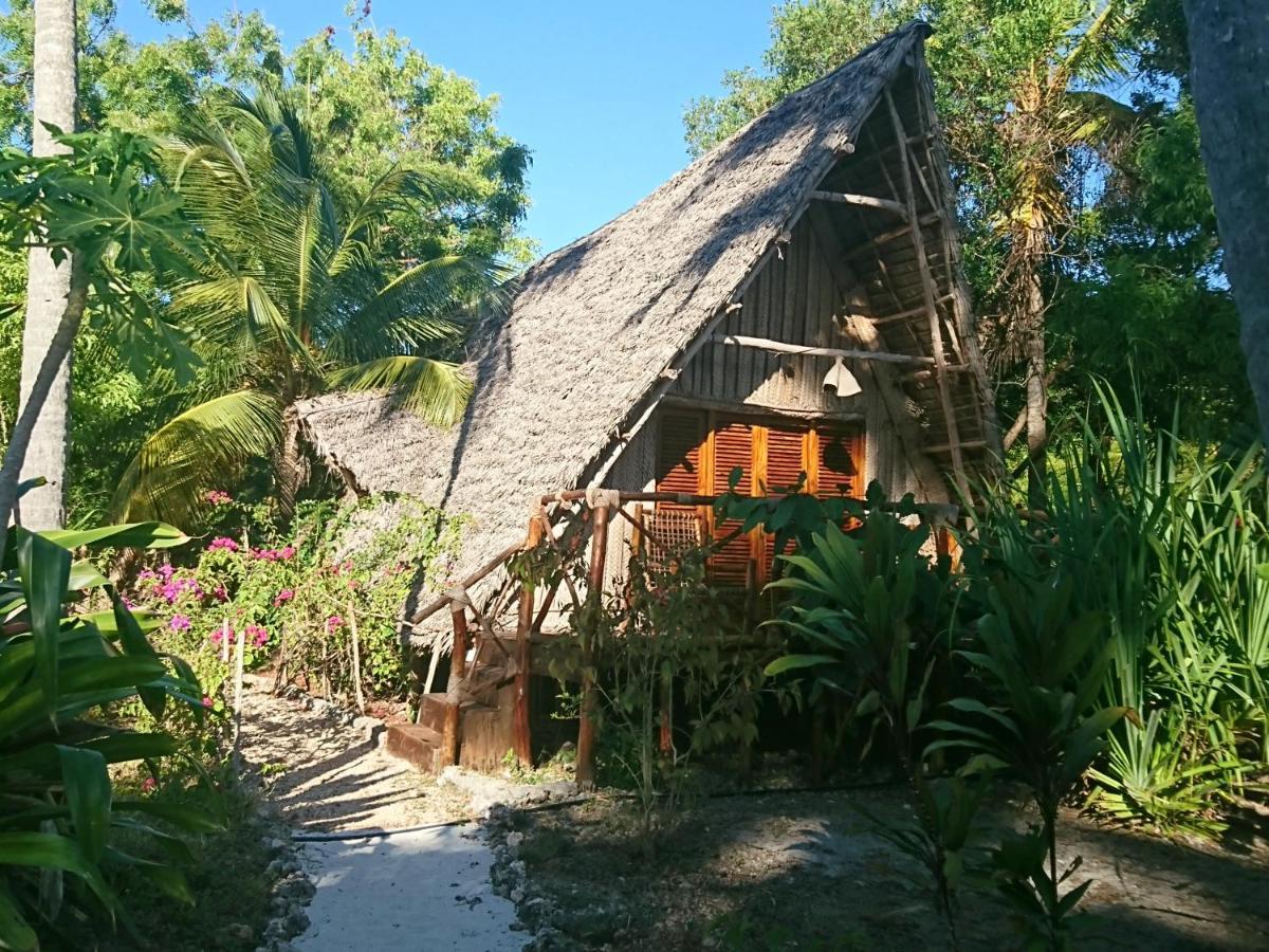 Coco Reef Ecolodge Kizimkazi Esterno foto