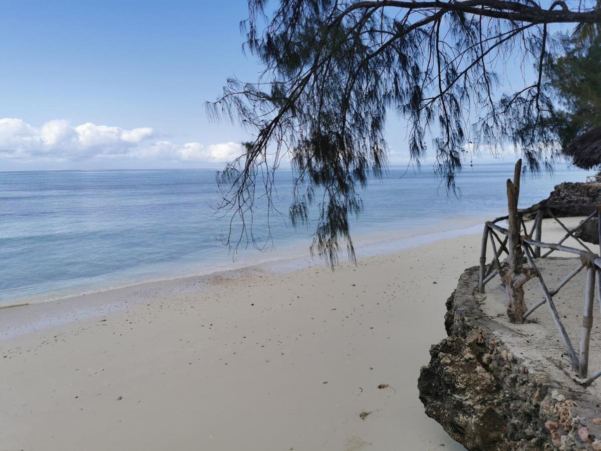 Coco Reef Ecolodge Kizimkazi Esterno foto