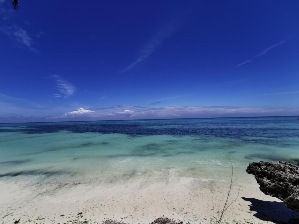 Coco Reef Ecolodge Kizimkazi Esterno foto