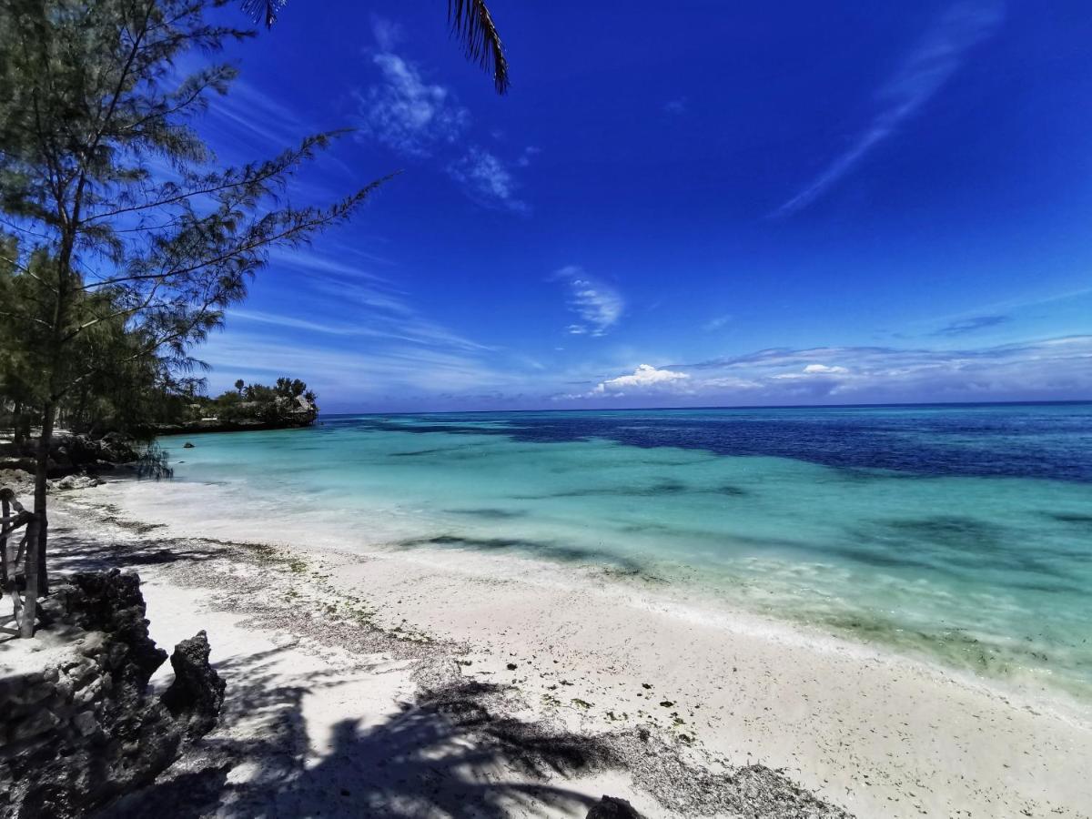 Coco Reef Ecolodge Kizimkazi Esterno foto