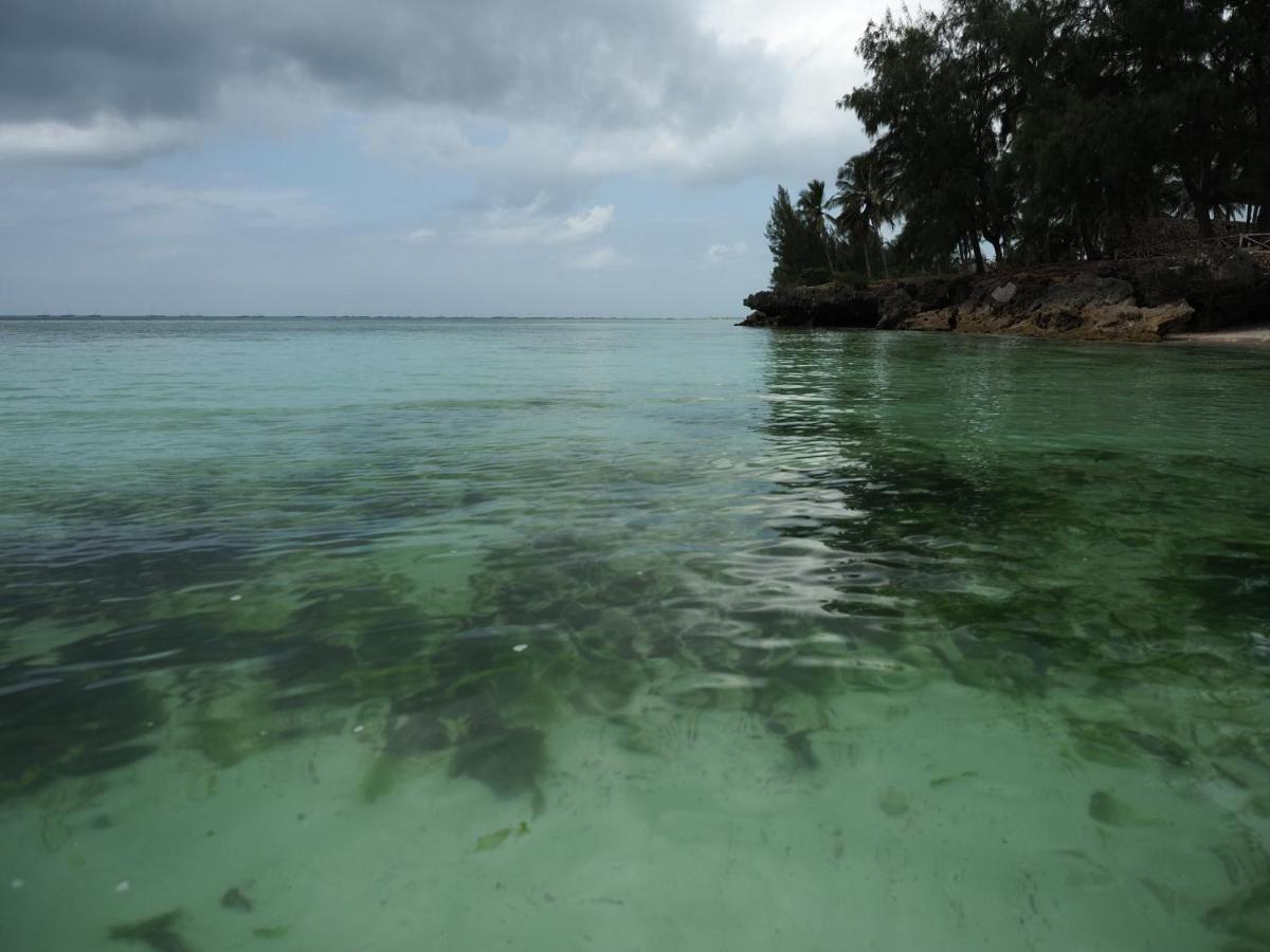 Coco Reef Ecolodge Kizimkazi Esterno foto