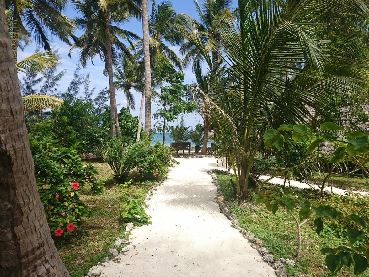 Coco Reef Ecolodge Kizimkazi Esterno foto
