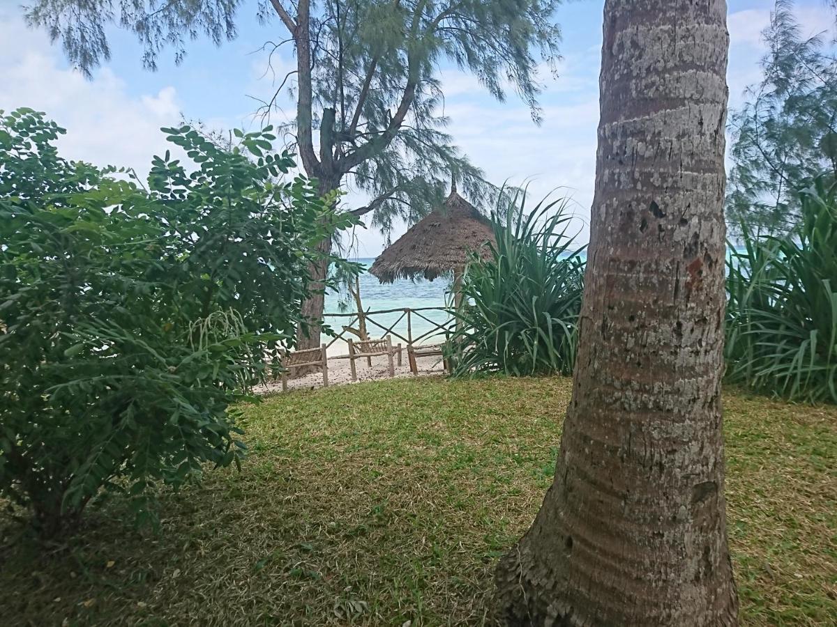 Coco Reef Ecolodge Kizimkazi Esterno foto